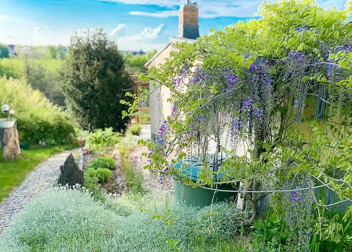 Weinquartier Kalter Huegel 70 Qm Garten Lagerfeuer Pool Terrasse Parkplatz 度假居